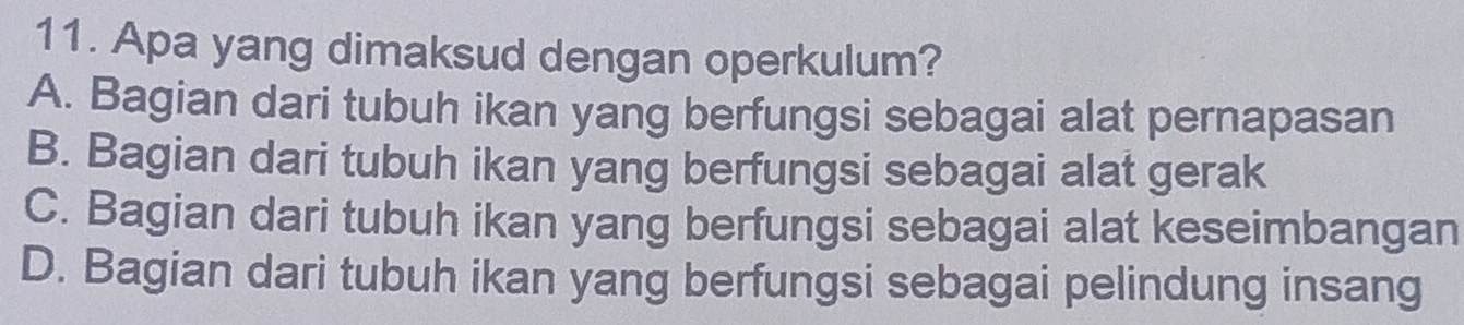 Apa yang dimaksud dengan operkulum?
A. Bagian dari tubuh ikan yang berfungsi sebagai alat pernapasan
B. Bagian dari tubuh ikan yang berfungsi sebagai alat gerak
C. Bagian dari tubuh ikan yang berfungsi sebagai alat keseimbangan
D. Bagian dari tubuh ikan yang berfungsi sebagai pelindung insang