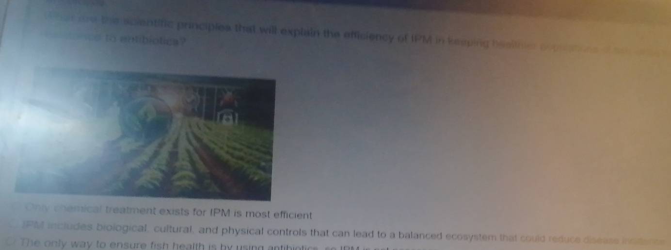 arae ths acientific principles that will explain the efficiency of IPM in kesping hesiiner po s 
to entibiotica?
Only chemical treatment exists for IPM is most efficient
IPM includes biological, cultural, and physical controls that can lead to a balanced ecosystem that could reduce disease incidence
The only way to ensure fish health is by using antibiotics