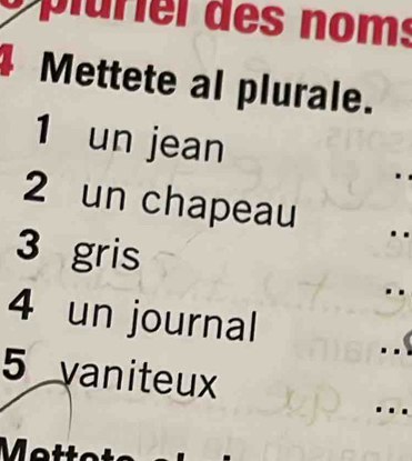 lur l de s nom s 
Mettete al plurale. 
1 un jean 
2 un chapeau 
3 gris 
. . 
4 un journal 
. . 
5 vaniteux 
.. 
M etta