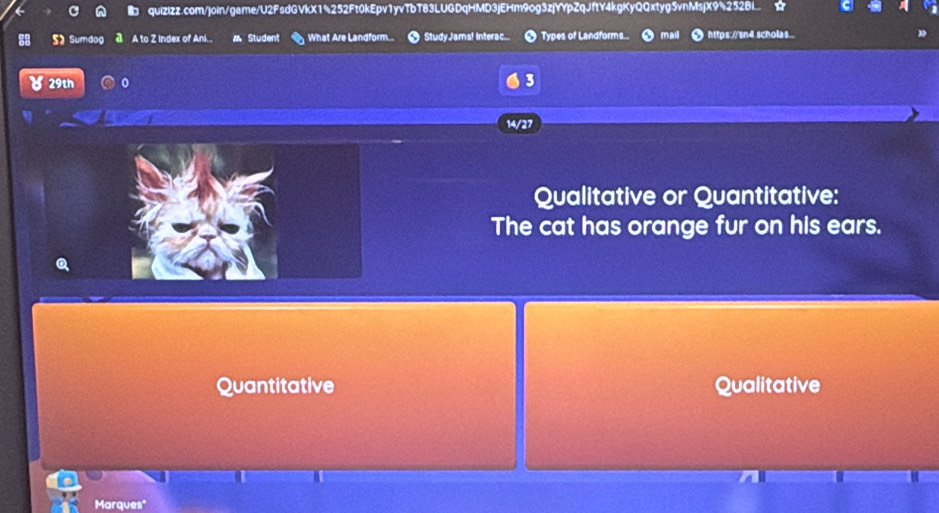 quizizz.com/join/game/U2FsdGVkX1%252Ft0kEpv1yvTbT83LUGDqHMD3jEHm9og3zjYYpZqJftY4kgKyQQxtyg5vnMsjX9%252BI. 
Sumdo A to Z Index of Ani.. Student What Are Landform.. StudyJams! Interac... Types of Landforms mail https://sn4.scholas 
29th 3 
14/27 
Qualitative or Quantitative: 
The cat has orange fur on his ears. 
Quantitative Qualitative 
Marques"