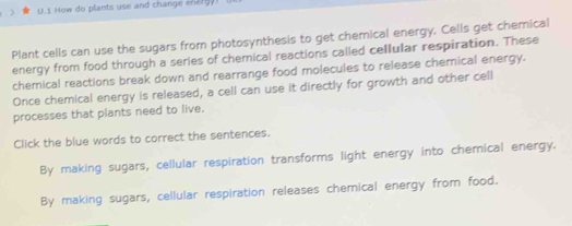 How do plants use and change energy!
Plant cells can use the sugars from photosynthesis to get chemical energy. Cells get chemical
energy from food through a series of chemical reactions called cellular respiration. These
chemical reactions break down and rearrange food molecules to release chemical energy.
Once chemical energy is released, a cell can use it directly for growth and other cell
processes that plants need to live.
Click the blue words to correct the sentences.
By making sugars, cellular respiration transforms light energy into chemical energy.
By making sugars, cellular respiration releases chemical energy from food.