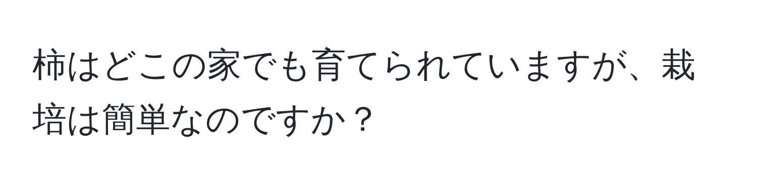 柿はどこの家でも育てられていますが、栽培は簡単なのですか？