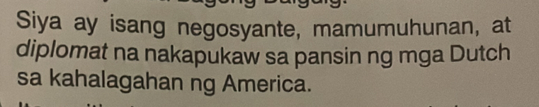 Siya ay isang negosyante, mamumuhunan, at 
diplomat na nakapukaw sa pansin ng mga Dutch 
sa kahalagahan ng America.