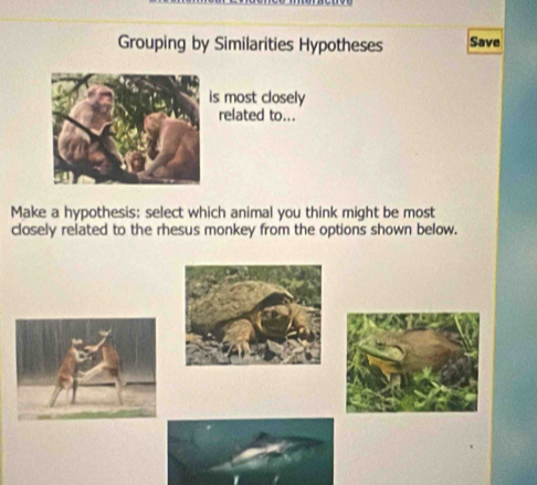 Grouping by Similarities Hypotheses Save 
s most closely 
related to... 
Make a hypothesis: select which animal you think might be most 
closely related to the rhesus monkey from the options shown below.