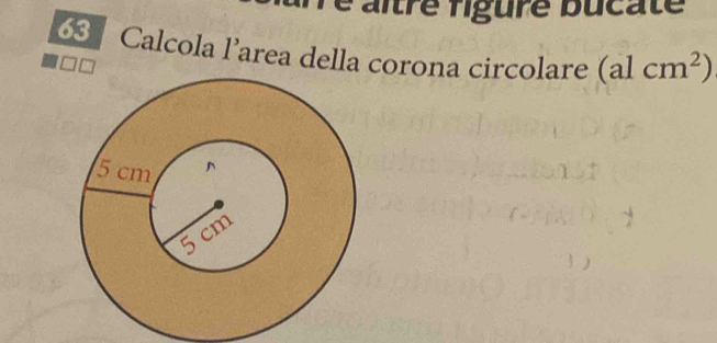 é altre figure bucate 
63 Calcola l’area della corona circolare (alcm^2)