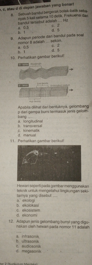 c, atau d di depan jawaban yang benar!
8. Sebuah bandul bergerak bolak-balik seba-
nyak 5 kali selama 10 detik. Frekuensi dari
bandul tersebut adalah ... Hz
a. 0,5 c. 2
b. 1 d. 5
9. Adapun periode dari bandul pada soal
nomor 8 adalah ... sekon.
a. 0,5 c. 2
b. 1 d. 5
10. Perhatikan gambar berikut!
High dansity
Apabila dilihat dari bentuknya, gelombang
p dari gempa bumi termasuk jenis gelom-
bang ....
a. longitudinal
b. transversal
c. kinematik
d. manual
11. Perhatikan gambar berikut!
Hewan seperti pada gambar menggunakan
teknik untuk mengetahui lingkungan seki-
tarnya yang disebut ....
a. ekologi
b. ekolokasi
c. ekosistem
d. ekonomi
12. Adapun jenis gelombang bunyi yang digu-
nakan oleh hewan pada nomor 11 adalah
a. infrasonik
b. ultrasonik
c. audiosonik
d. megasonik
tar 2 (Kurilalmo Méardlahe