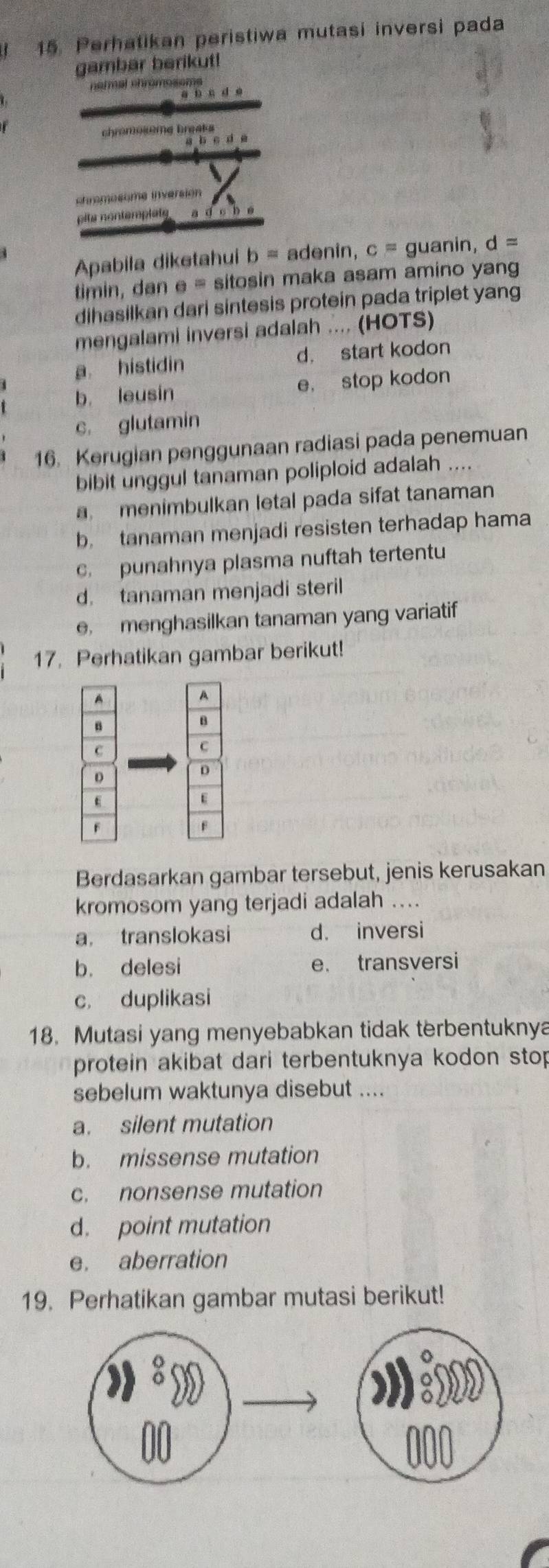 1 15. Perhatikan peristiwa mutasi inversi pada
gambar berikut!
n ermal ehrómoseme
pite nontemplaty
Apabila diketahui b= adenin, c= guanin, d=
timin, dan e= sitosin maka asam amino yang
dihasilkan dari sintesis protein pada triplet yang
mengalami inversi adalah .... (HOTS)
a histidin d， start kodon
b. leusin e， stop kodon
c. glutamin
16. Kerugian penggunaan radiasi pada penemuan
bibit unggul tanaman poliploid adalah …..
a menimbulkan letal pada sifat tanaman
b. tanaman menjadi resisten terhadap hama
c. punahnya plasma nuftah tertentu
d. tanaman menjadi steril
e, menghasilkan tanaman yang variatif
17. Perhatikan gambar berikut!
A
B
C
0
F
Berdasarkan gambar tersebut, jenis kerusakan
kromosom yang terjadi adalah ....
a. translokasi d. inversi
b. delesi e. transversi
c. duplikasi
18. Mutasi yang menyebabkan tidak terbentuknya
protein akibat dari terbentuknya kodon stop
sebelum waktunya disebut ....
a. silent mutation
b. missense mutation
c. nonsense mutation
d. point mutation
e. aberration
19. Perhatikan gambar mutasi berikut!