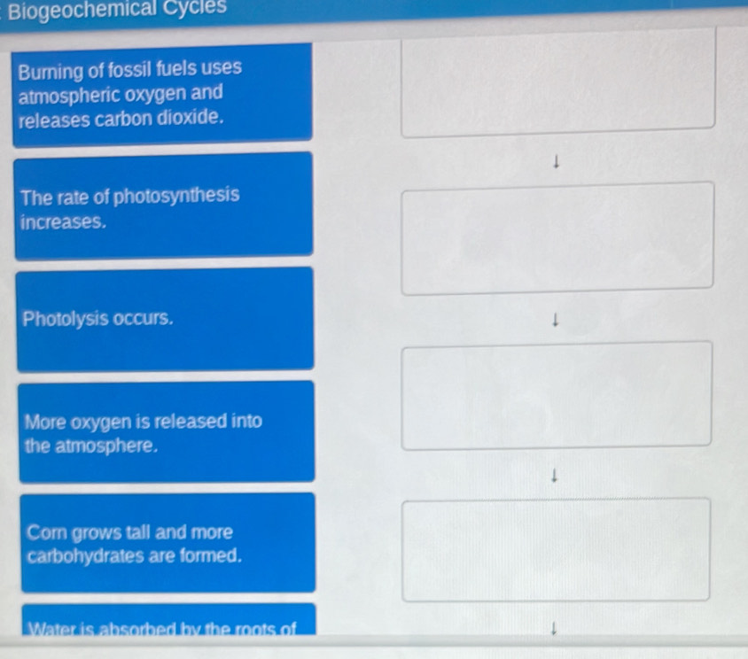 Biogeochemical Cycles 
Burning of fossil fuels uses 
atmospheric oxygen and 
releases carbon dioxide. 
The rate of photosynthesis 
increases. 
Photolysis occurs. 
More oxygen is released into 
the atmosphere. 
Corn grows tall and more 
carbohydrates are formed. 
Water is absorbed by the roots of