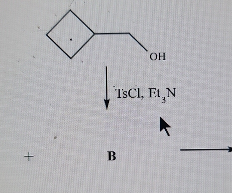 TsC 1. Et_3N
+ 
B