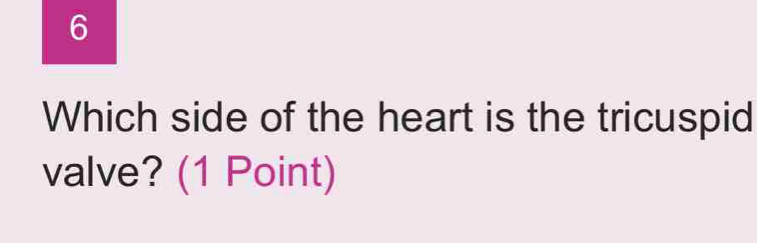 Which side of the heart is the tricuspid 
valve? (1 Point)