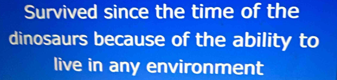 Survived since the time of the 
dinosaurs because of the ability to 
live in any environment