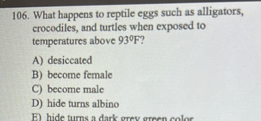 What happens to reptile eggs such as alligators,
crocodiles, and turtles when exposed to
temperatures above 93°F 7
A) desiccated
B) become female
C) become male
D) hide turns albino
E) hide turns a dark grev green color