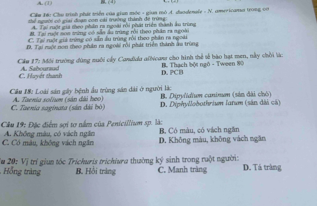 A. (1) B. (4)
C. (2)
Câu 16: Chu trình phát triển của giun móc - giun mỏ A. duodenale - N. americanus trong cơ
thể người có giai đoạn con cái trưởng thành đẻ trứng:
A. Tại ruột già theo phân ra ngoài rồi phát triển thành ấu trùng
B. Tại ruột non trứng có sẵn ấu trùng rồi theo phân ra ngoài
C. Tại ruột giả trứng có sẵn ấu trùng rồi theo phân ra ngoài
D. Tại ruột non theo phân ra ngoài rồi phát triển thành ấu trùng
Câu 17: Môi trường dùng nuôi cấy Candida albicans cho hình thể tế bào hạt men, nầy chồi là:
A. Sabouraud B. Thạch bột ngô - Tween 80
C. Huyết thanh D. PCB
Câu 18: Loài sán gây bệnh ấu trùng sán dải ở người là:
A. Taenia solium (sán dải heo) B. Dipylidium caninum (sán dải chó)
C. Taenia saginata (sán dải bò) D. Diphyllobothrium latum (sán dải cá)
Câu 19: Đặc điểm sợi tơ nấm của Penicillium sp. là:
A. Không màu, có vách ngăn B. Có màu, có vách ngăn
C. Có màu, không vách ngăn D. Không màu, không vách ngăn
Su 20: Vị trí giun tóc Trichuris trichiura thường ký sinh trong ruột người:
Hồng tràng B. Hồi tràng C. Manh tràng D. Tá tràng