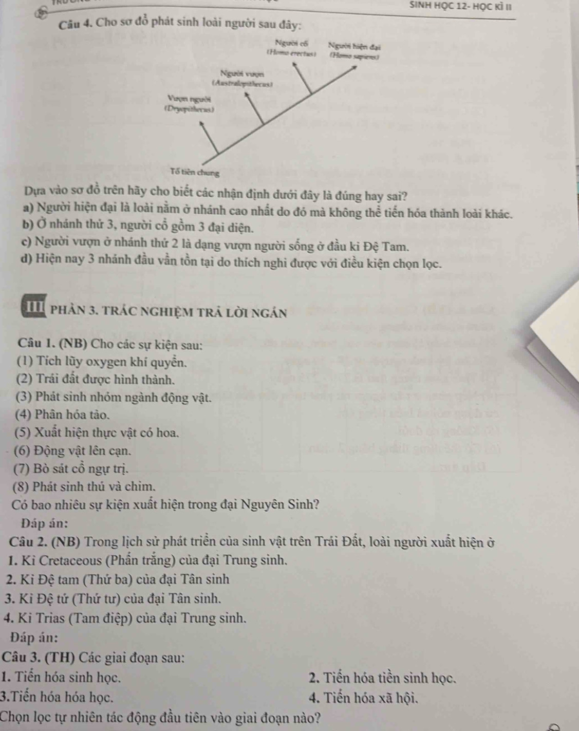 SINH HỌC 12- HỌc KÌ II
Câu 4. Cho sơ đổ phát sinh loài người sau đây:
Dựa vào sơ đồ trên hãy cho biết các nhận định dưới đây là đúng hay sai?
a) Người hiện đại là loài nằm ở nhánh cao nhất do đó mà không thể tiến hóa thành loài khác.
b) Ở nhánh thứ 3, người cổ gồm 3 đại diện.
c) Người vượn ở nhánh thứ 2 là dạng vượn người sống ở đầu ki Đệ Tam.
d) Hiện nay 3 nhánh đầu vần tồn tại do thích nghi được với điều kiện chọn lọc.
phản 3. trác nghiệm trả lời ngán
Câu 1. (NB) Cho các sự kiện sau:
(1) Tích lũy oxygen khí quyển.
(2) Trái đất được hình thành.
(3) Phát sinh nhóm ngành động vật.
(4) Phân hóa tảo.
(5) Xuất hiện thực vật có hoa.
(6) Động vật lên cạn.
(7) Bò sát cổ ngự trị.
(8) Phát sinh thú và chim.
Có bao nhiêu sự kiện xuất hiện trong đại Nguyên Sinh?
ĐDáp án:
Câu 2. (NB) Trong lịch sử phát triển của sinh vật trên Trái Đất, loài người xuất hiện ở
1. Ki Cretaceous (Phấn trắng) của đại Trung sinh.
2. Ki Đệ tam (Thứ ba) của đại Tân sinh
3. Ki Đệ tứ (Thứ tư) của đại Tân sinh.
4. Ki Trias (Tam điệp) của đại Trung sinh.
Đáp án:
Câu 3. (TH) Các giai đoạn sau:
1. Tiến hóa sinh học.  2. Tiến hóa tiền sinh học.
3.Tiến hóa hóa học. 4. Tiến hóa xã hội.
Chọn lọc tự nhiên tác động đầu tiên vào giai đoạn nào?