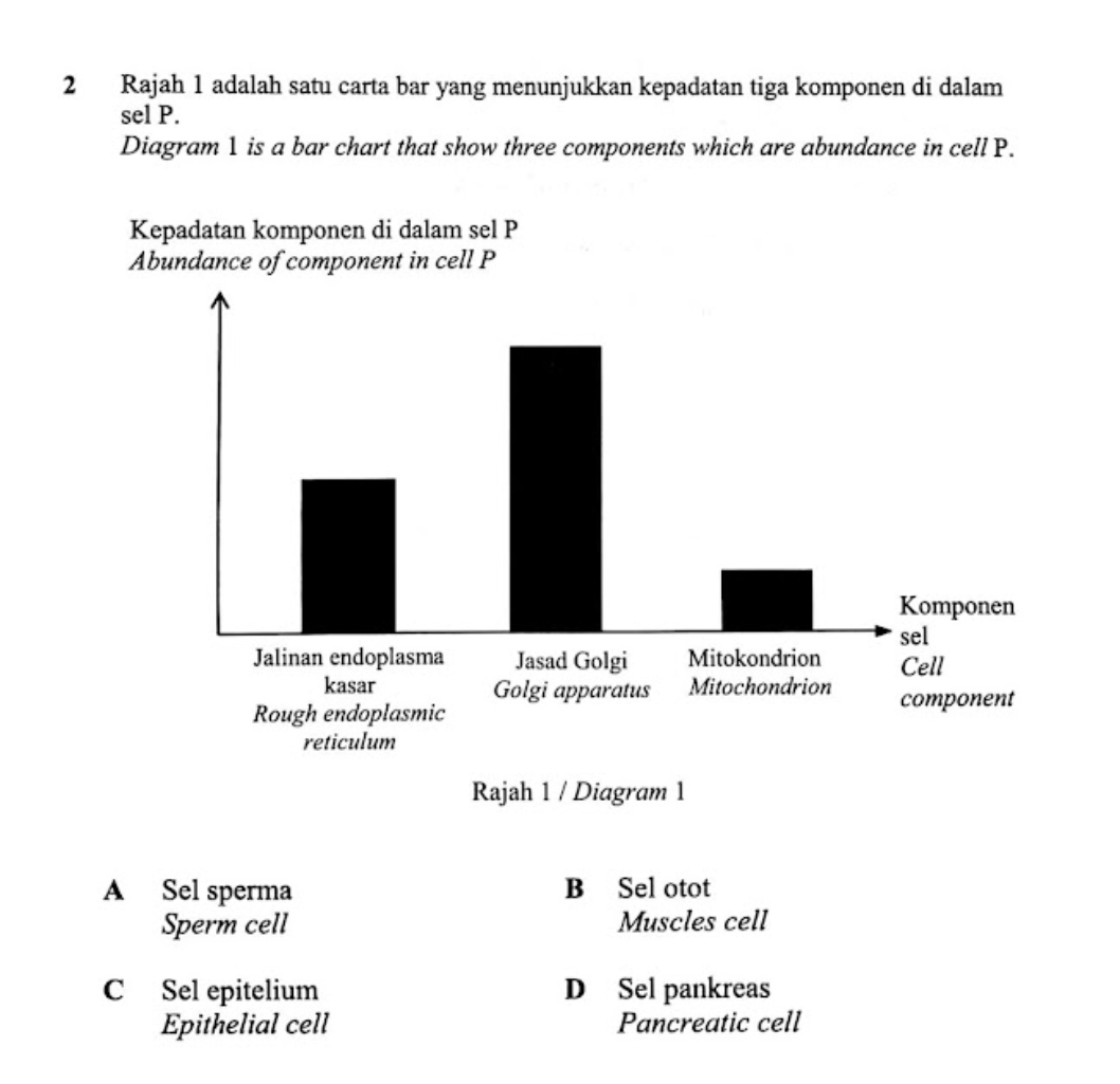 Rajah 1 adalah satu carta bar yang menunjukkan kepadatan tiga komponen di dalam
sel P.
Diagram 1 is a bar chart that show three components which are abundance in cell P.
Rajah 1 / Diagram 1
A Sel sperma B Sel otot
Sperm cell Muscles cell
C Sel epitelium D Sel pankreas
Epithelial cell Pancreatic cell