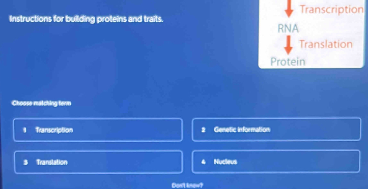 Transcription
Instructions for building proteins and traits.
RNA
Translation
Protein
Choose matching term
1 Transcription 7 Genetic information
3 Translation Nucleus
Dont know?