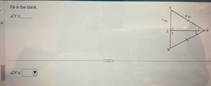 Fill in the blank.
∠ Y≌ _
∠ Y≌ □