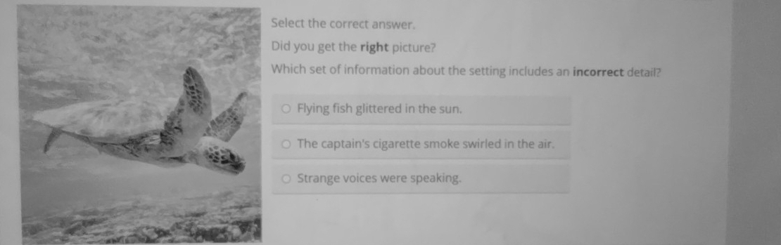 Select the correct answer.
Did you get the right picture?
Which set of information about the setting includes an incorrect detail?
Flying fish glittered in the sun.
The captain's cigarette smoke swirled in the air.
Strange voices were speaking.