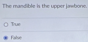 The mandible is the upper jawbone.
True
False