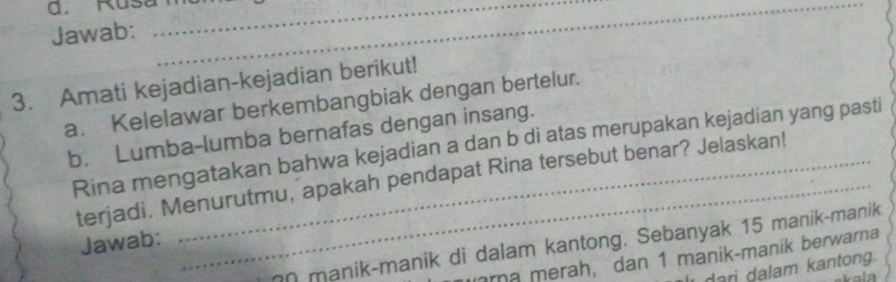 Rusan_ 
Jawab: 
3. Amati kejadian-kejadian berikut! 
a. Kelelawar berkembangbiak dengan bertelur. 
b. Lumba-lumba bernafas dengan insang. 
Rina mengatakan bahwa kejadian a dan b di atas merupakan kejadian yang pasti 
terjadi. Menurutmu, apakah pendapat Rina tersebut benar? Jelaskan! 
Jawab:
0 manik-manik di dalam kantong. Sebanyak 15 manik-manik 
arna merah， dan 1 manik-manik berwarna 
dari dalam kantong.