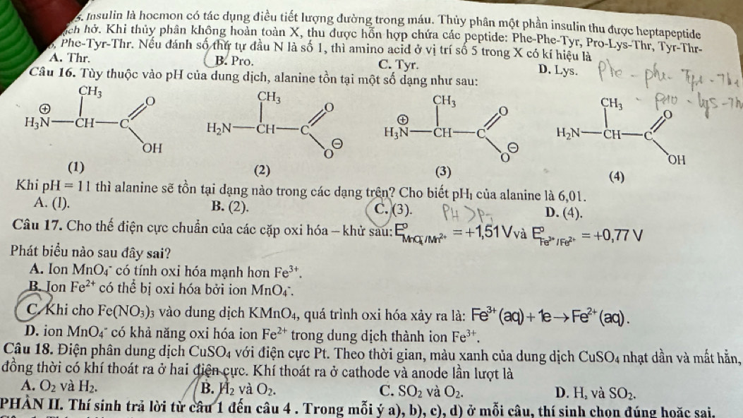 Insulin là hocmon có tác dụng điều tiết lượng đường trong máu. Thủy phân một phần insulin thu được heptapeptide
hích hở. Khi thủy phân không hoàn toàn X, thu được hồn hợp chứa các peptide: Phe-Phe-Tyr, Pro-Lys-Thr, Tyr-Thr-
6, Phe-Tyr-Thr. Nếu đánh số thứ tự đầu N là số 1, thì amino acid ở vị trí số 5 trong X có kí hiệu là
A. Thr. B. Pro. C. Tyr.
D. Lys.
Câu 16. Tùy thuộc vào pH của dung dịch, alanine tồn tại một số dạng như sau:

(1) (2) (3) (4)
Khi pH =11 thì alanine sẽ tồn tại dạng nào trong các dạng trên? Cho biết pHị của alanine là 6,01.
A. (l). B. (2). (3). D. (4).
C.
Câu 17. Cho thế điện cực chuẩn của các cặp oxi hóa - khử sau: E_MnO_4/Mn^(2+)^circ =+1,51V và E_Fe^(3+)/Fe^(2+)^circ =+0,77V
Phát biểu nào sau đây sai?
A. Ion MnO4 có tính oxi hóa mạnh hơn Fe^(3+).
B. Ion Fe^(2+) có thể bị oxi hóa bởi ion MnO4.
C. Khi cho Fe(NO_3): vào dung dịch KMnO₄, quá trình oxi hóa xảy ra là: Fe^(3+)(aq)+1eto Fe^(2+)(aq).
D. ion MnO_4^- có khả năng oxi hóa ion Fe^(2+) trong dung dịch thành ion Fe^(3+).
Câu 18. Điện phân dung dịch CuSO_4 với điện cực Pt. Theo thời gian, màu xanh của dung dịch CuSO4 nhạt dần và mất hằn,
đồng thời có khí thoát ra ở hai điện cực. Khí thoát ra ở cathode và anode lần lượt là
A. O_2 và H_2. B. H_2 và O_2. C. SO_2 và O_2. D. H, và SO_2.
PHẢN II. Thí sinh trả lời từ câu 1 đến câu 4 . Trong mỗi ý a), b), c), d) ở mỗi câu, thí sinh chọn đúng hoặc sai.