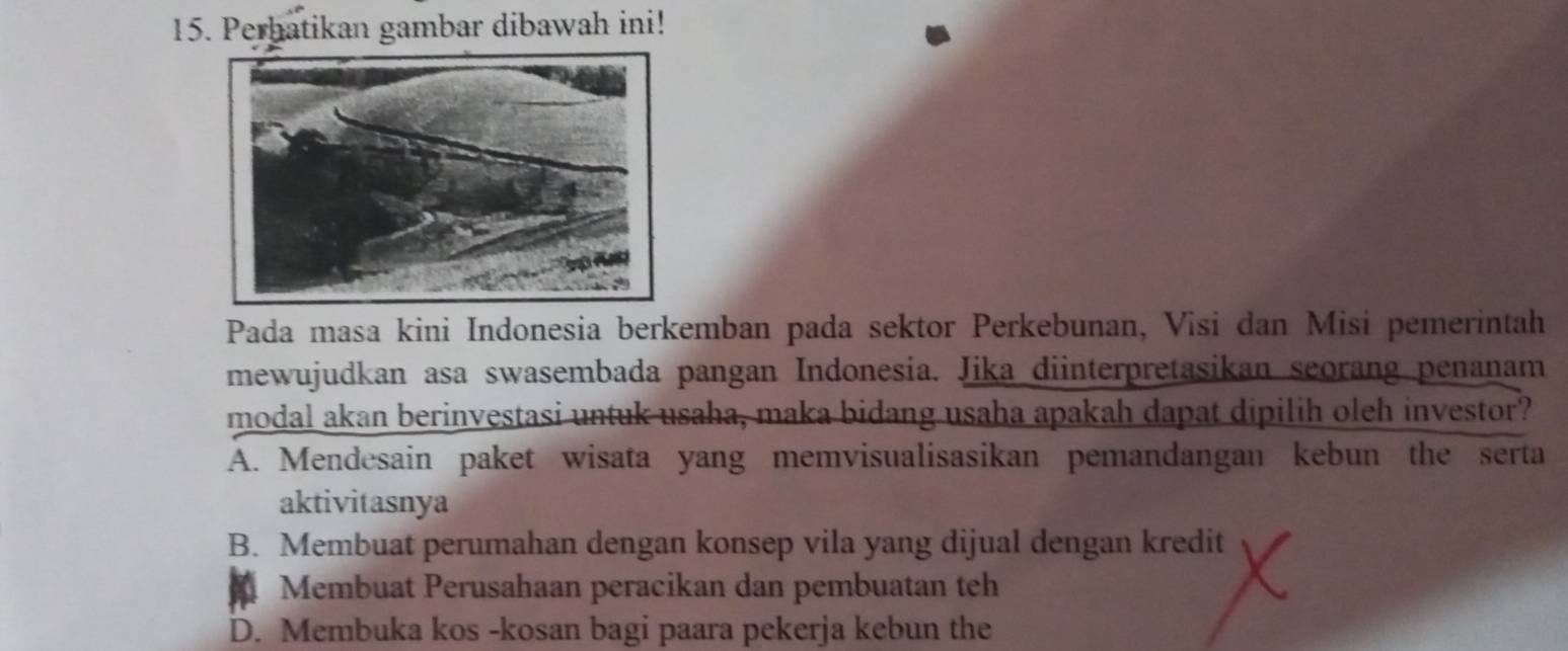 Perhatikan gambar dibawah ini!
Pada masa kini Indonesia berkemban pada sektor Perkebunan, Visi dan Misi pemerintah
mewujudkan asa swasembada pangan Indonesia. Jika diinterpretasikan seorang penanam
modal akan berinvestasi untuk usaha, maka bidang usaha apakah dapat dipilih oleh investor?
A. Mendesain paket wisata yang memvisualisasikan pemandangan kebun the serta
aktivitasnya
B. Membuat perumahan dengan konsep vila yang dijual dengan kredit
Membuat Perusahaan peracikan dan pembuatan teh
D. Membuka kos -kosan bagi paara pekerja kebun the