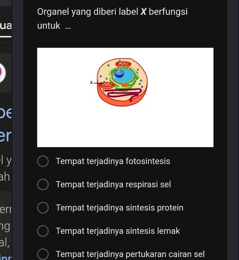 Organel yang diberi label X berfungsi
ua untuk ...
)E
er
l y Tempat terjadinya fotosintesis
ah
Tempat terjadinya respirasi sel
err Tempat terjadinya sintesis protein
ng
Tempat terjadinya sintesis lemak
al,
nr
Tempat terjadinya pertukaran cairan sel