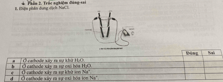 Phần 2. Trắc nghiệm đúng-sai
1. Điện phân dung dịch NaCl.
Đúng Sai
a Ở cathode xảy ra sự khử H_2O.
b Ở cathode xảy ra sự oxi hóa H_2O.
c Ở cathode xảy ra sự khử ion Na^+.
d Ở cathode xảy ra sự oxi hóa ion Na*.