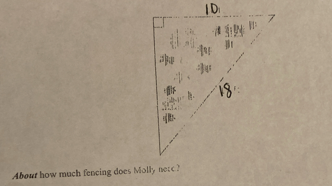 About how much fencing does Molly netc?