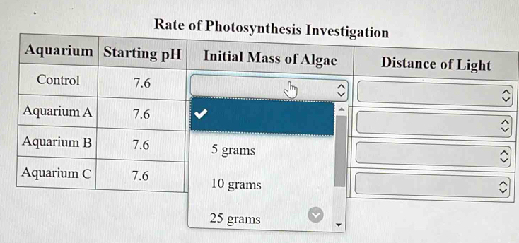 Rate of Photosy