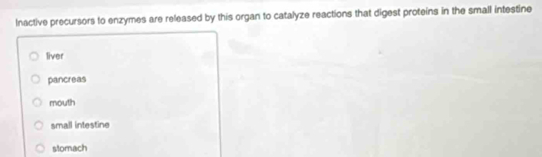 Inactive precursors to enzymes are released by this organ to catalyze reactions that digest proteins in the small intestine
liver
pancreas
mouth
small intestine
stomach