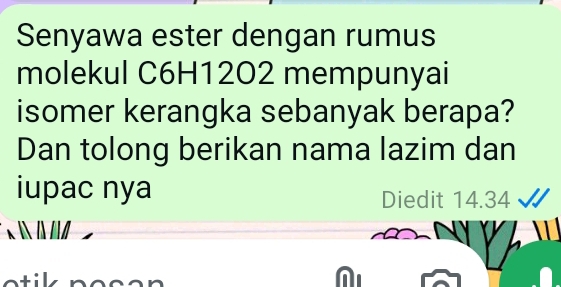 Senyawa ester dengan rumus 
molekul C6H12O2 mempunyai 
isomer kerangka sebanyak berapa? 
Dan tolong berikan nama lazim dan 
iupac nya 
Diedit 14.34