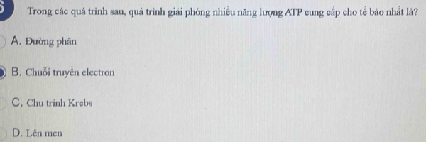 Trong các quá trình sau, quá trình giải phóng nhiều năng lượng ATP cung cấp cho tế bào nhất là?
A. Đường phân
B. Chuỗi truyền electron
C. Chu trinh Krebs
D. Lên men