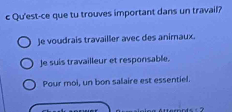 Qu'est-ce que tu trouves important dans un travail?
Je voudrais travailler avec des animaux.
Je suis travailleur et responsable.
Pour moi, un bon salaire est essentiel.