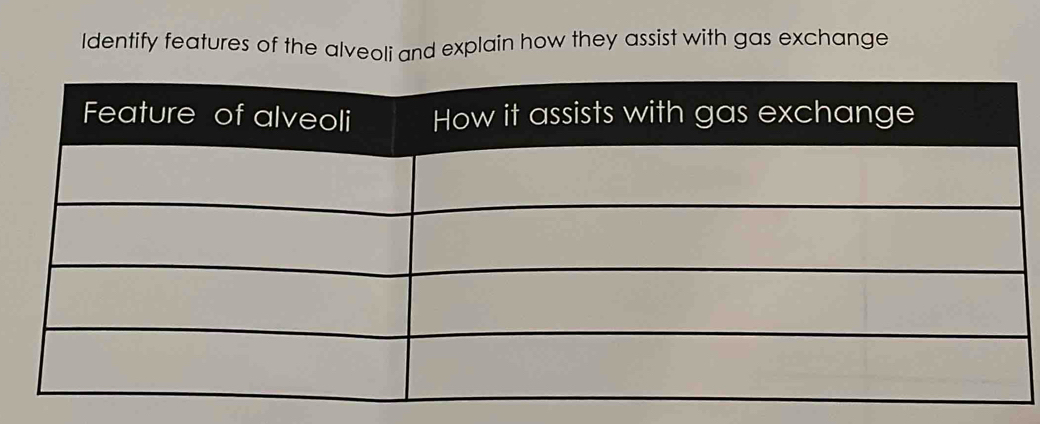 Identify features of the alveoli and explain how they assist with gas exchange