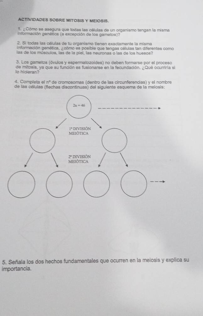 ACTIVIDADES SOBRE MITOSIS Y MEIOSIS.
1. ¿ Cómo se asegura que todas las células de un organismo tengan la misma
información genética (a excepción de los gametos)?
2. Si todas las células de tu organismo tienen exactamente la misma
información genética, ¿ cómo es posible que tengas células tan diferentes como
las de los músculos, las de la piel, las neuronas o las de los huesos?
3. Los gametos (óvulos y espermatozoides) no deben formarse por el proceso
de mitosis, ya que su función es fusionarse en la fecundación. ¿Qué ocurriría si
io hicieran?
4. Completa el n° de cromosomas (dentro de las circunferencias) y el nombre
de las células (flechas discontinuas) del siguiente esquema de la meiosis:
5. Señala los dos hechos fundamentales que ocurren en la meiosis y explica su
importancia.