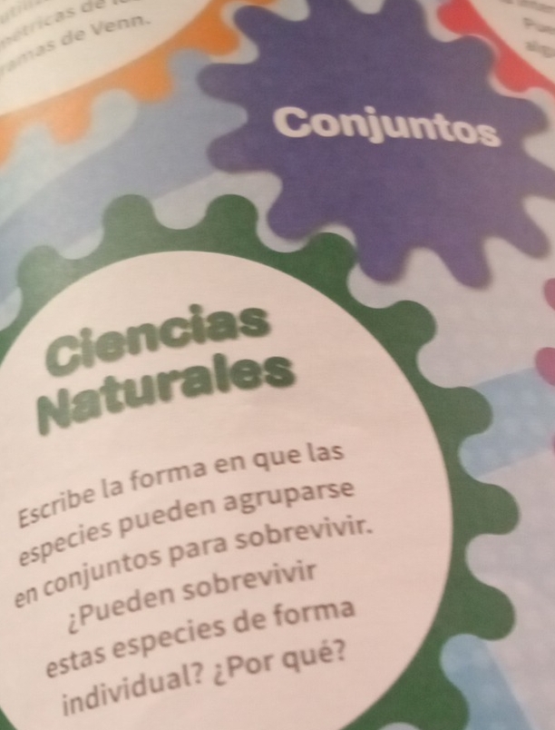 amas de Venn. 
Conjuntos 
Ciencias 
Naturales 
Escribe la forma en que las 
especies pueden agruparse 
en conjuntos para sobrevivir. 
¿Pueden sobrevivir 
estas especies de forma 
individual? ¿Por qué?