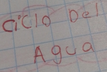 ciclo bel 
Agoa