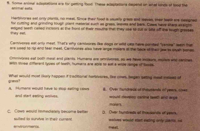 Some animal adaptations are for getting food. These adaptations depend on what kinds of food the
animal eats.
Herbivores eat only plants, no meat. Since their food is usually grass and leaves, meir teeth are designed
for cutting and grinding tough plant meterial such as grass, leaves and bark. Cows have sharp staight
edged teeth called incisors at the front of their mouths that they use to but or bite of the tough grasses
they eat.
Carnivores eat only meat. That's why carnivores like dogs or wild cass have pointed "canine" teain that
are used to rip and tear meat. Carnivores also have large molers at the back of their jaw to qush bones.
Omnivores eat both meat and plants. Humans are omnivores, so we have indaprs, molers and canines
With three different types of teeth, humans are able to eat a wide range of foods,
What would most likely happen if traditional herbivores, like cows, begen gating meat ineed of
grass?
A Humans would have to stop eating cows B. Over hundreds of thousands of years, cows
and start eating wolves. would develop canine teeth and large
molars.
C. Cows would immediately become better D. Over hundreds of thousends of years
suited to survive in their current wolves would start eating only plents, no
environments. meat.