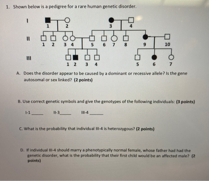 Shown below is a pedigree for a rare human genetic disorder. 
A. Does the disorder appear to be caused by a dominant or recessive allele? Is the gene 
autosomal or sex linked? (2 points) 
B. Use correct genetic symbols and give the genotypes of the following individuals: (3 points) 
_ 
l -1 11 -3 _ II -4 _ 
C. What is the probability that individual III -4 is heterozygous? (2 points) 
D. If individual III-4 should marry a phenotypically normal female, whose father had had the 
genetic disorder, what is the probability that their first child would be an affected male? (2 
points)