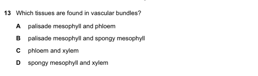 Which tissues are found in vascular bundles?
A palisade mesophyll and phloem
B palisade mesophyll and spongy mesophyll
C phloem and xylem
D spongy mesophyll and xylem