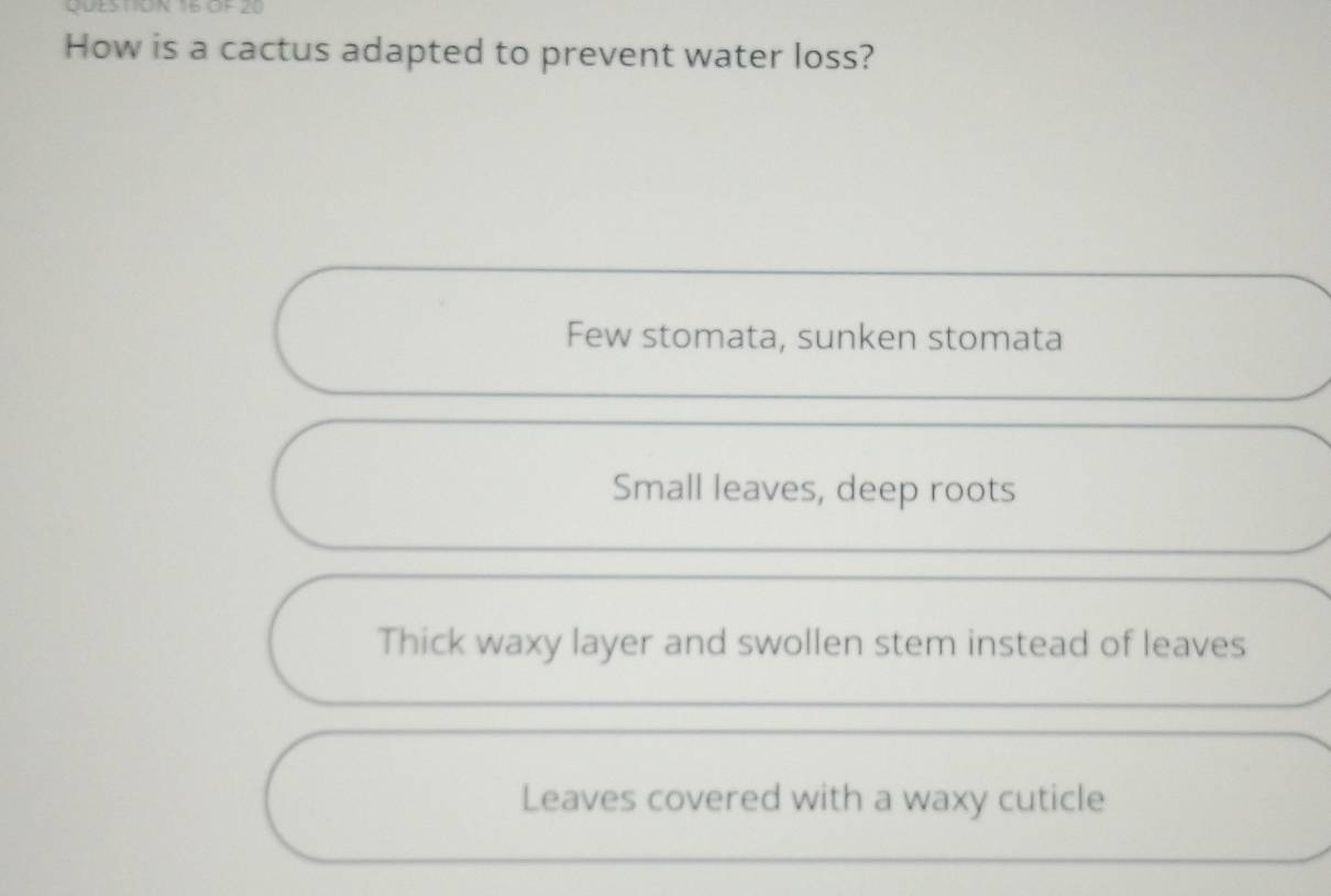 OF 20
How is a cactus adapted to prevent water loss?
Few stomata, sunken stomata
Small leaves, deep roots
Thick waxy layer and swollen stem instead of leaves
Leaves covered with a waxy cuticle