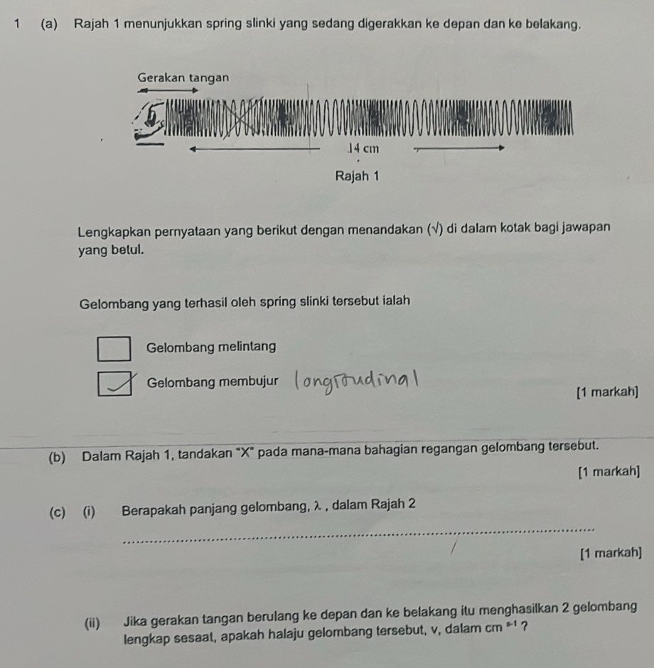 1 (a) Rajah 1 menunjukkan spring slinki yang sedang digerakkan ke depan dan ke belakang. 
Lengkapkan pernyataan yang berikut dengan menandakan (√) di dalam kotak bagi jawapan 
yang betul. 
Gelombang yang terhasil oleh spring slinki tersebut ialah 
Gelombang melintang 
Gelombang membujur 
[1 markah] 
(b) Dalam Rajah 1, tandakan "X" pada mana-mana bahagian regangan gelombang tersebut. 
[1 markah] 
_ 
(c) (i) Berapakah panjang gelombang, λ , dalam Rajah 2 
[1 markah] 
(ii) Jika gerakan tangan berulang ke depan dan ke belakang itu menghasilkan 2 gelombang 
lengkap sesaat, apakah halaju gelombang tersebut, v, dalam cm^(s-1)