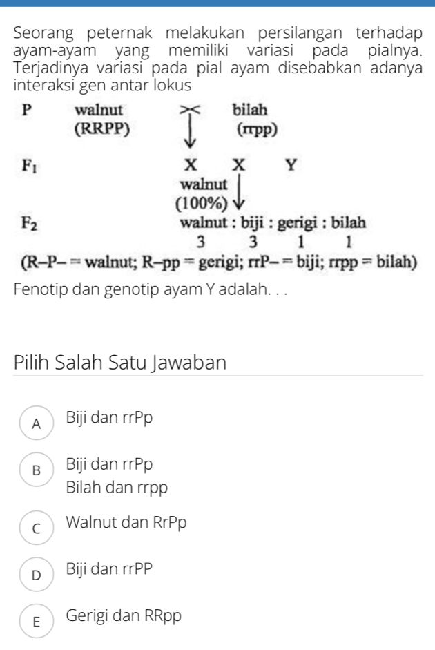 Seorang peternak melakukan persilangan terhadap
ayam-ayam yang memiliki variasi pada pialnya.
Terjadinya variasi pada pial ayam disebabkan adanya
interaksi gen antar lokus
P walnut bilah
(RRPP) (πpp)
F_1
X x Y
walnut
(100% )
F_2 walnut : biji : gerigi : bilah
3 3 1 1
(R-P-= walnut; R-pp= gerigi; rrP-=biji; rrpp=bila h)
Fenotip dan genotip ayam Y adalah. . .
Pilih Salah Satu Jawaban
A  Biji dan rrPp
B Biji dan rrPp
Bilah dan rrpp
C Walnut dan RrPp
D Biji dan rrPP
E Gerigi dan RRpp