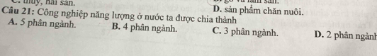 thuy, hai san. D. sản phẩm chăn nuôi.
Câu 21: Công nghiệp năng lượng ở nước ta được chia thành
A. 5 phân ngành. B. 4 phân ngành. C. 3 phân ngành. D. 2 phân ngành