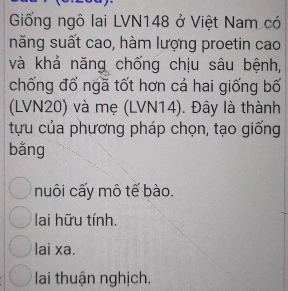 Giống ngô lai LVN148 ở Việt Nam có
năng suất cao, hàm lượng proetin cao
và khả năng chống chịu sâu bệnh,
chống đổ ngã tốt hơn cả hai giống bố
(LVN20) và mẹ (LVN14). Đây là thành
tựu của phương pháp chọn, tạo giống
bằng
nuôi cấy mô tế bào.
lai hữu tính.
lai xa.
lai thuận nghịch.