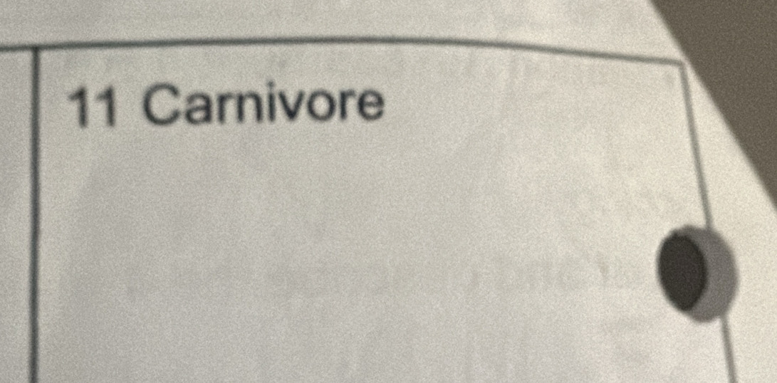 Carnivore