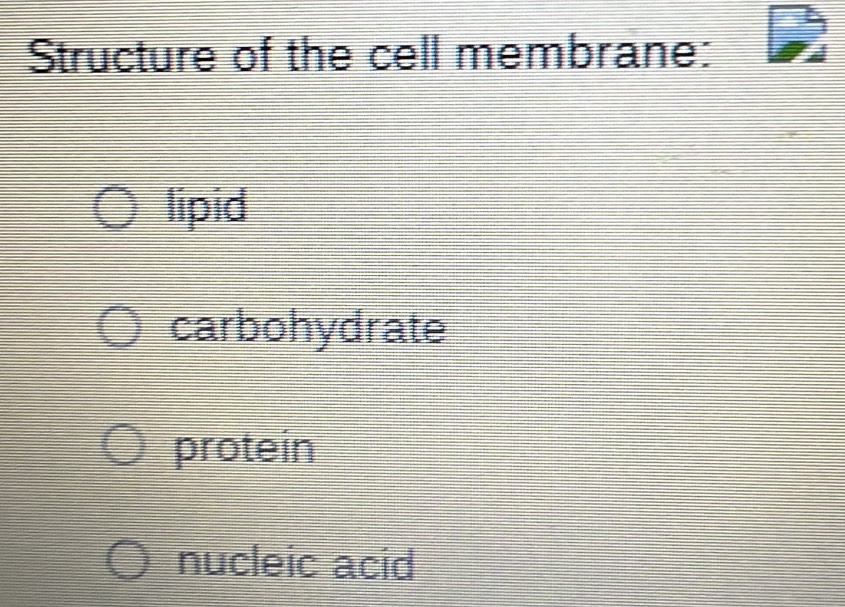 Structure of the cell membrane:
lipid
carbohydrate
protein
nucleic acid