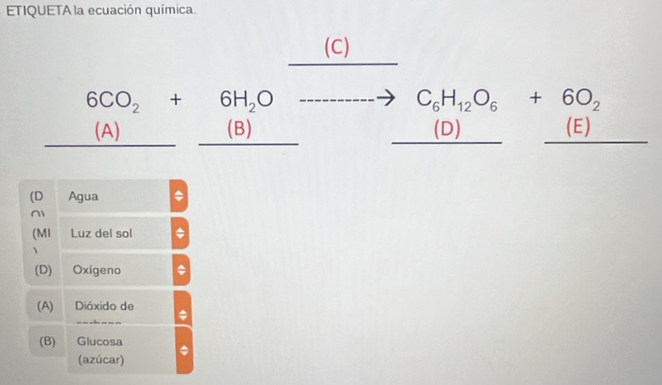 ETIQUETA la ecuación química.
(□)^ _ 1 (C)
beginarrayr 6CO_2+6H_2Oto  (A)_ (B)endarray (D)
(D Agua *
(MI Luz del sol
(D) Oxigeno
(A) Dióxido de
(B) Glucosa
(azúcar)