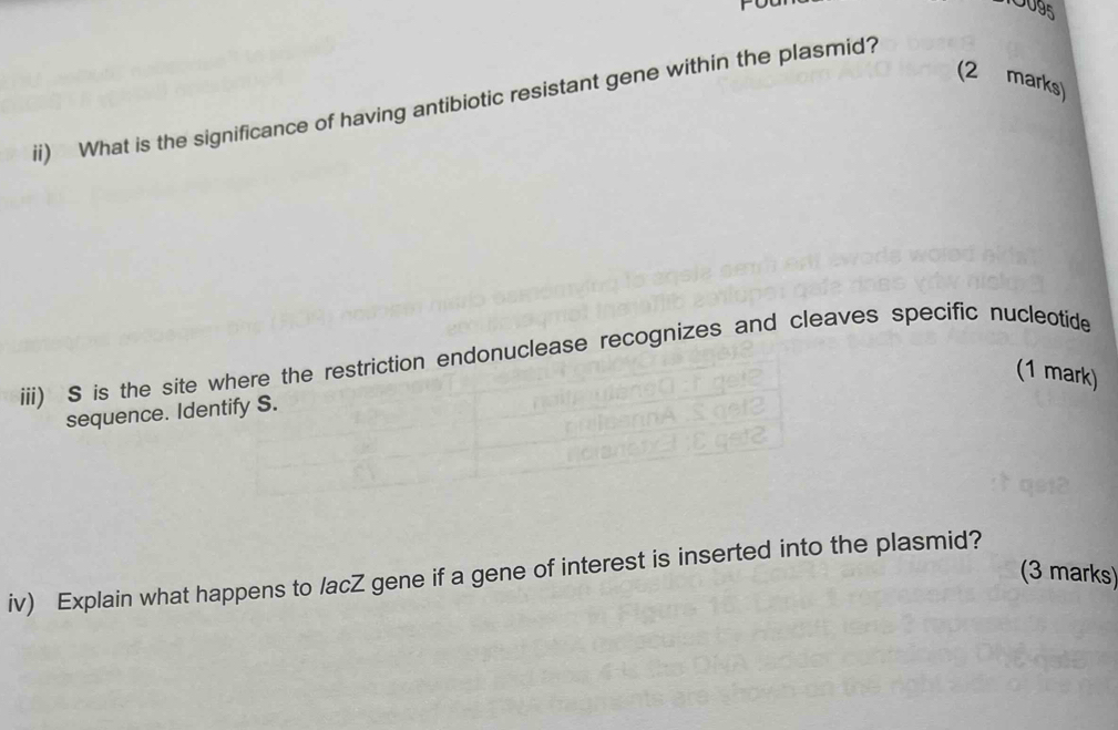 0095 
(2 marks) 
ii) What is the significance of having antibiotic resistant gene within the plasmid? 
iii) S is the site where the restriction endonuclease recognizes and cleaves specific nucleotide 
(1 mark) 
sequence. Identify S. 
(3 marks) 
iv) Explain what happens to lacZ gene if a gene of interest is inserted into the plasmid?